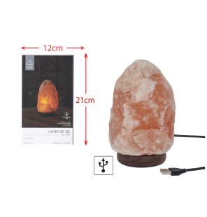 LAMPE DE SEL SOCLE BOIS